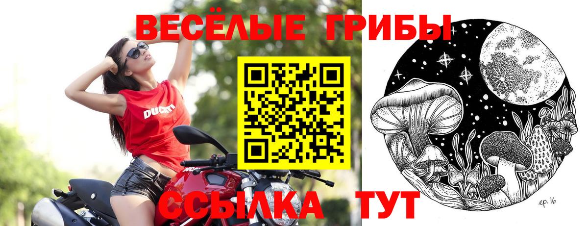 Галлюциногенные грибы Psilocybine cubensis Учалы