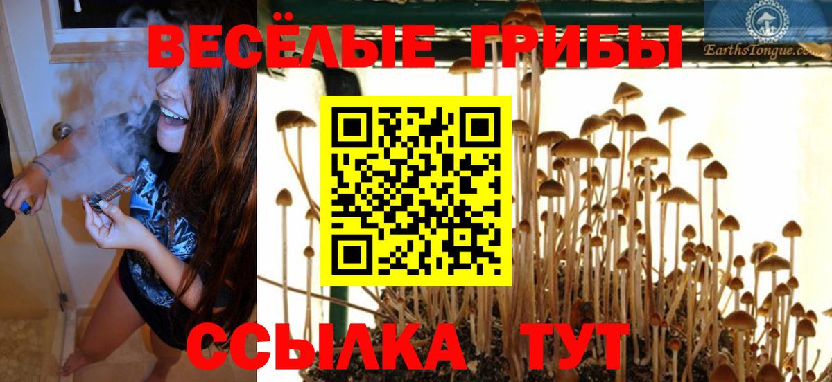 Галлюциногенные грибы Cubensis  Вход с VPN  Учалы 