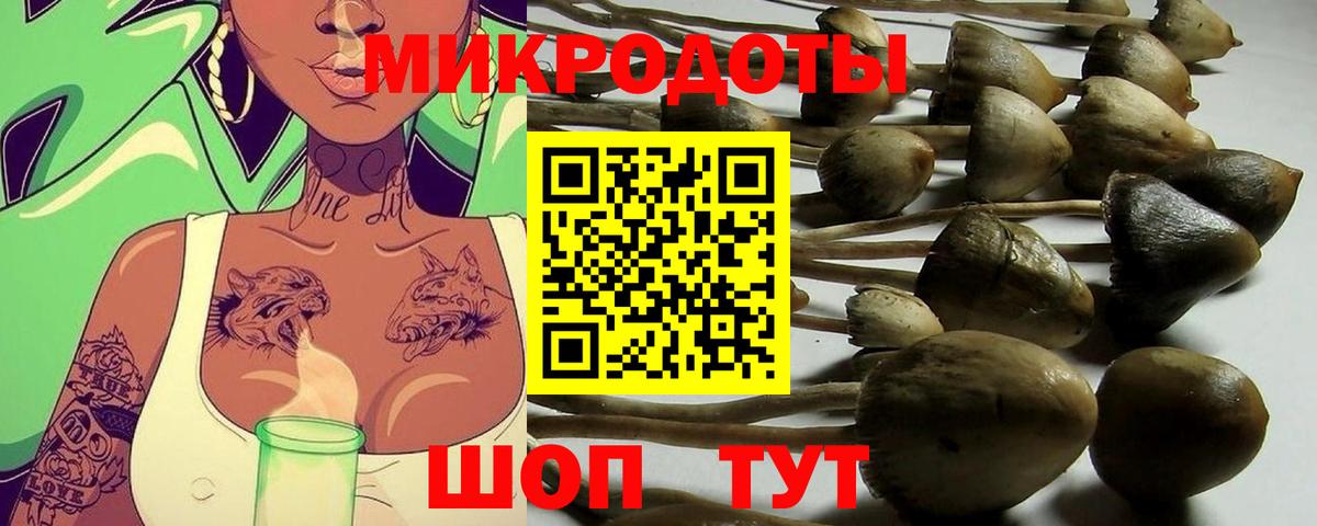 Псилоцибиновые грибы прущие грибы  Учалы  Галлюциногенные грибы Psilocybe 